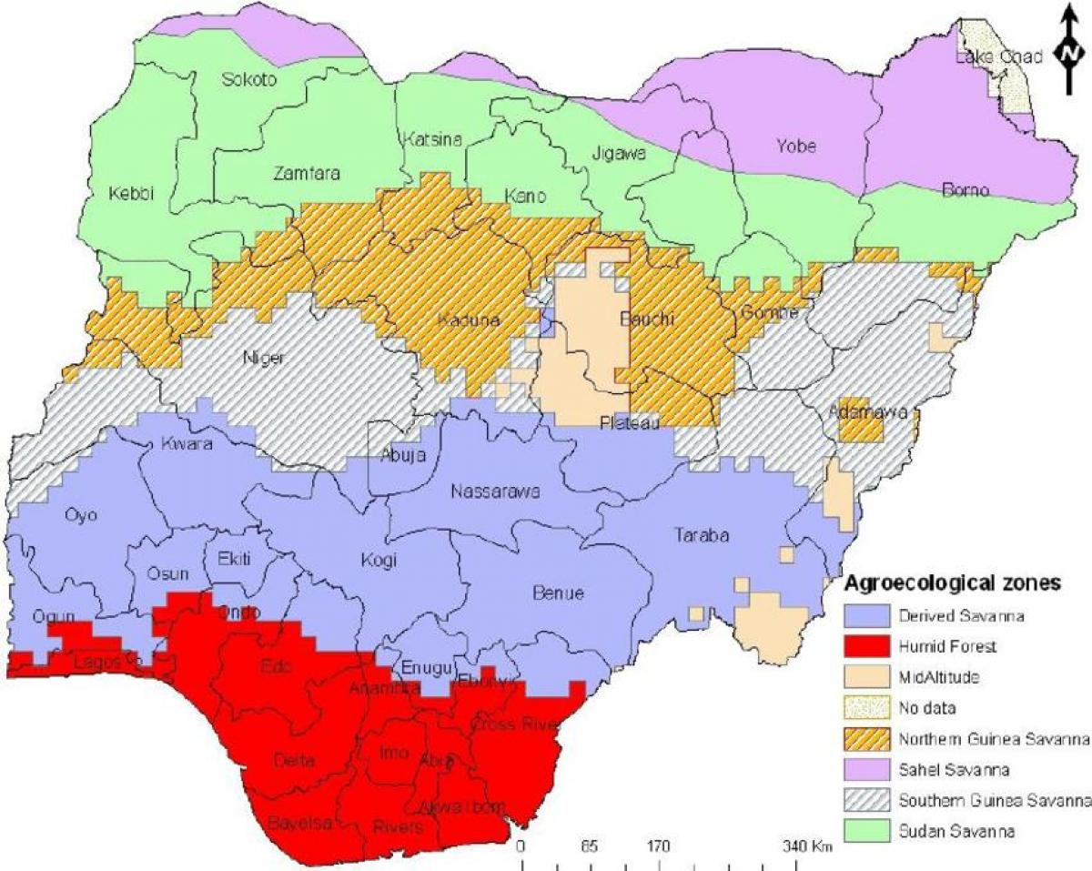 绘制地图尼日利亚表示的植被区