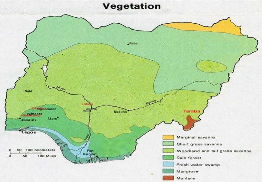 地图尼日利亚表示的植被