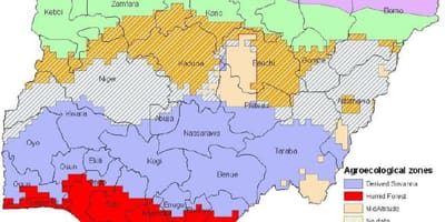 绘制地图尼日利亚表示的植被区