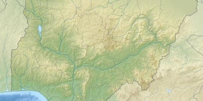 地图绘制尼日利亚减免